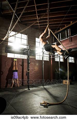 Two young adults working out in gym View Large Photo Image Stock Image - Two young adults working out in gym. Fotosearch