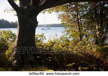 View of lake from lakeside, Bath, Maine, USA View Large Photo Image Stock Image - View of lake from lakeside, Bath, Maine, USA. Fotosearch