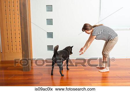 Stock Photo - Woman at home with dog. Fotosearch