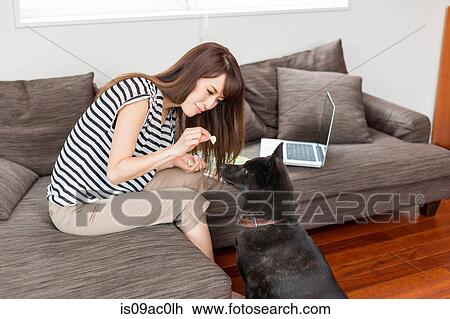 Stock Image - Woman feeding dog in living room. Fotosearch