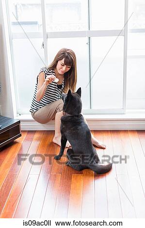 Woman feeding dog in living room View Large Photo Image Stock Image - Woman feeding dog in living room. Fotosearch