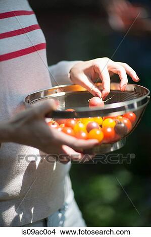 Woman holding sieve of tomatoes View Large Photo Image Picture - Woman holding sieve of tomatoes. Fotosearch