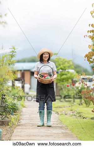 Picture - Woman with basket of vegetables. Fotosearch