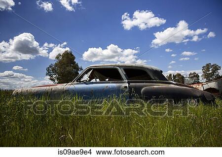 Abandoned vintage cars View Large Photo Image Picture - Abandoned vintage cars. Fotosearch