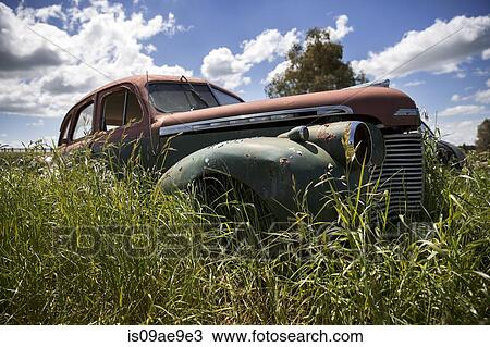 Abandoned vintage cars View Large Photo Image Stock Image - Abandoned vintage cars. Fotosearch