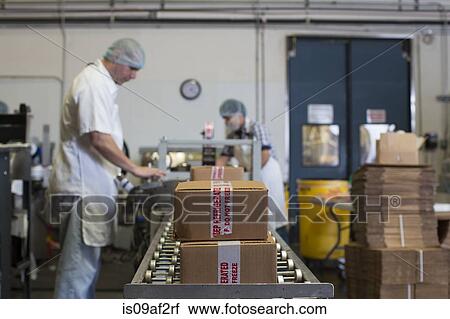 Factory workers packaging cardboard boxes View Large Photo Image Stock Image - Factory workers packaging cardboard boxes. Fotosearch