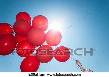 Hands holding bunch of red balloons against blue sky View Large Photo Image Picture - Hands holding bunch of red balloons against blue sky. Fotosearch