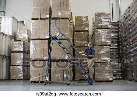 Man on ladders in warehouse with cardboard boxes View Large Photo Image Stock Image - Man on ladders in warehouse with cardboard boxes. Fotosearch