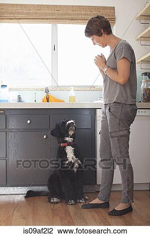 Stock Image - Mature woman and her pet dog in kitchen. Fotosearch