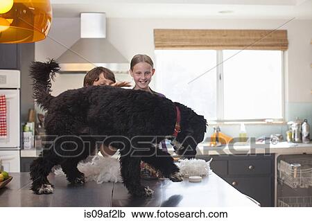 Mother and daughter playing with dog on kitchen counter View Large Photo Image Stock Image - Mother and daughter playing with dog on kitchen counter. Fotosearch