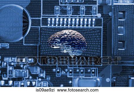 Stock Image - Studio shot of brain and data technology. Fotosearch
