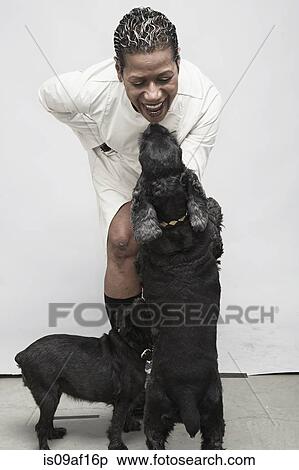 Studio shot of mature woman playing with pet dogs View Large Photo Image Stock Photography - Studio shot of mature woman playing with pet dogs. Fotosearch