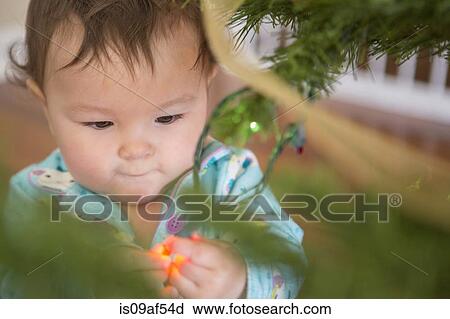 Baby girl touching fairy lights View Large Photo Image Stock Image - Baby girl touching fairy lights. Fotosearch