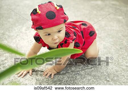 Baby girl wearing ladybird outfit View Large Photo Image Stock Image - Baby girl wearing ladybird outfit. Fotosearch