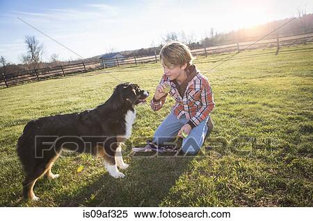 Stock Photography - Boy training dog. Fotosearch