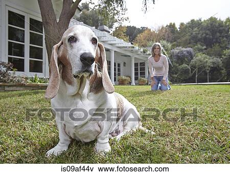 Stock Photo - Dog sitting on grass, woman in background. Fotosearch