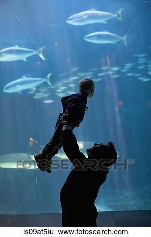 Stock Photograph - Father lifting young son to watch fish in aquarium. Fotosearch