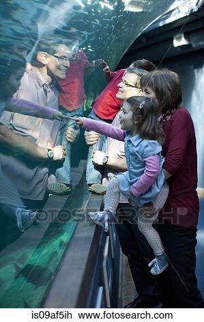 Stock Image - Grandchildren and grandparents looking at fish in aquarium. Fotosearch