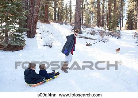 Picture - Grandmother pulling grandsons on sledge in snowy forest. Fotosearch