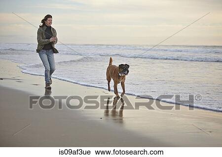 Mature woman walking dog on breezy beach View Large Photo Image Stock Image - Mature woman walking dog on breezy beach. Fotosearch