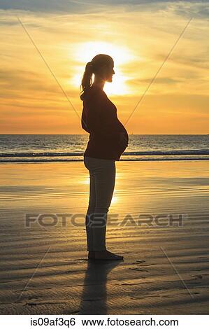 Pregnant mid adult woman on beach at sunset, San Diego, California, USA View Large Photo Image Stock Photograph - Pregnant mid adult woman on beach at sunset, San Diego, California, USA. Fotosearch