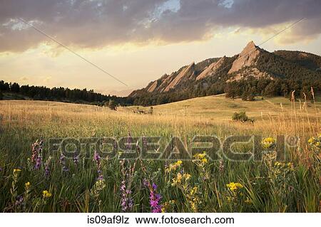Scenic view of meadow and mountains, Boulder, Colorado, USA View Large Photo Image Stock Photo - Scenic view of meadow and mountains, Boulder, Colorado, USA. Fotosearch