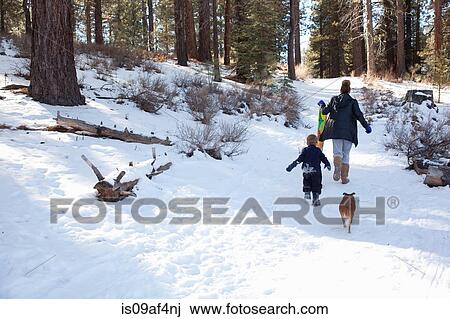 Stock Image - Toddler and grandmother with sledge in snowy forest. Fotosearch