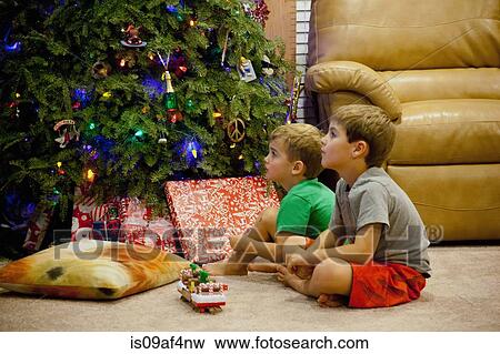 Two engrossed young brothers sitting next to xmas tree View Large Photo Image Stock Photo - Two engrossed young brothers sitting next to xmas tree. Fotosearch