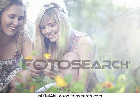Two teenage girls picking wildflowers in woodland View Large Photo Image Stock Image - Two teenage girls picking wildflowers in woodland. Fotosearch