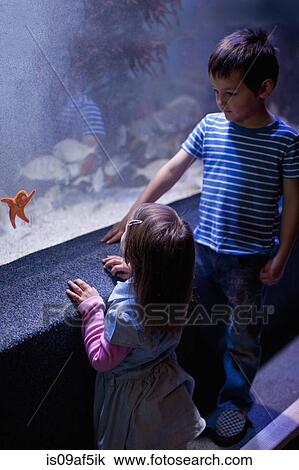 Stock Image - Young brother and sister looking at starfish in aquarium. Fotosearch
