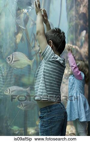 Stock Photography - Young brother and sister looking at tropical fish in aquarium. Fotosearch