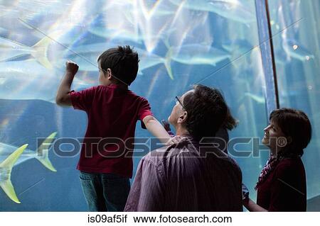 Stock Image - Young children and grandparents looking at fish in aquarium. Fotosearch