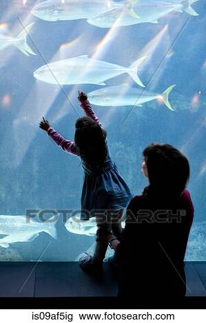 Stock Image - Young girl and grandmother looking at fish in aquarium. Fotosearch