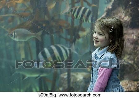 Young girl enjoying tropical fish in aquarium View Large Photo Image Stock Photography - Young girl enjoying tropical fish in aquarium. Fotosearch