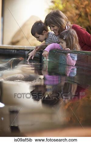 Stock Image - Young grandchildren and grandmother watching penguin at zoo. Fotosearch