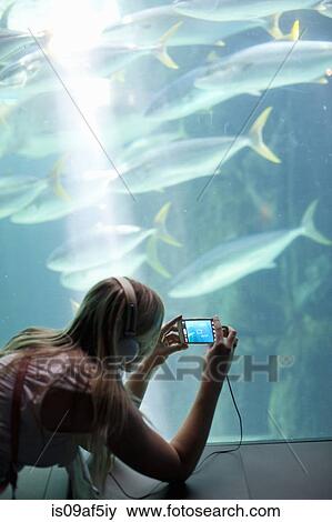 Young woman photographing fish on smartphone in aquarium View Large Photo Image Stock Photo - Young woman photographing fish on smartphone in aquarium. Fotosearch