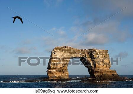 Darwin's Arch. Stock Photography | is09ag6yq | Fotosearch