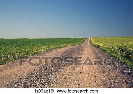 Dirt road through fields, Saint-Jean, Ile d'Orleans, Quebec View Large Photo Image Stock Photograph - Dirt road through fields, Saint-Jean, Ile d'Orleans, Quebec. Fotosearch