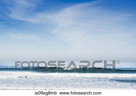 Distant view of surfers on ocean wave, Black Beach, La Jolla, California, USA View Large Photo Image Stock Image - Distant view of surfers on ocean wave, Black Beach, La Jolla, California, USA. Fotosearch