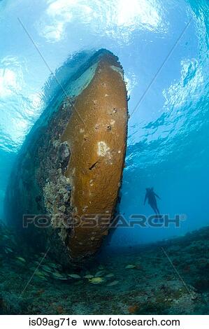 Diver and shipwreck. View Large Photo Image Stock Image - Diver and shipwreck.. Fotosearch