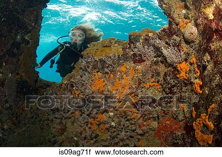 Diver and shipwreck. View Large Photo Image Stock Image - Diver and shipwreck.. Fotosearch