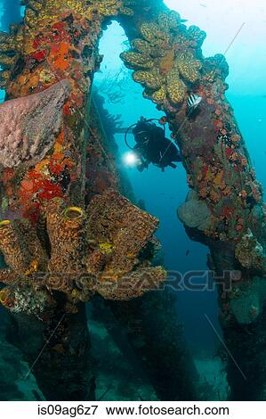 Diver at Salt Pier. View Large Photo Image Stock Photo - Diver at Salt Pier.. Fotosearch