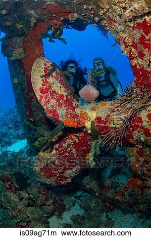 Picture - Divers near prop of sunken ship.. Fotosearch