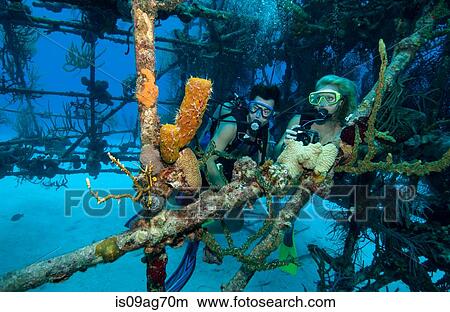 Picture - Scuba divers on shipwreck.. Fotosearch