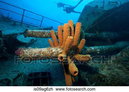 Shipwreck of the Keith Tibbetts. View Large Photo Image Stock Image - Shipwreck of the Keith Tibbetts.. Fotosearch