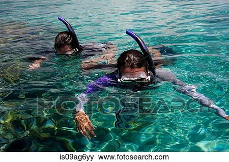 Snorkelers above a coral reef. View Large Photo Image Stock Photo - Snorkelers above a coral reef.. Fotosearch