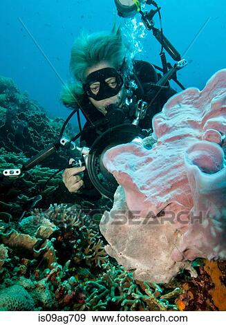 Underwater photographer. View Large Photo Image Stock Photo - Underwater photographer.. Fotosearch