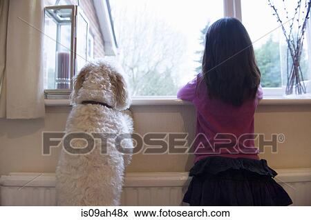Girl and her pet dog standing and looking out of window View Large Photo Image Stock Photo - Girl and her pet dog standing and looking out of window. Fotosearch