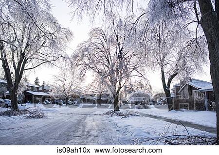 Stock Photo - Ice storm, Toronto, Ontario, Canada. Fotosearch
