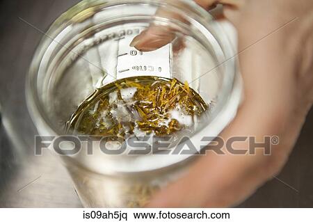 Making a remedy with calendula and olive oil in health foods store View Large Photo Image Stock Photography - Making a remedy with calendula and olive oil in health foods store. Fotosearch